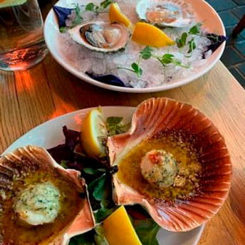 Plates full of scallops and oysters